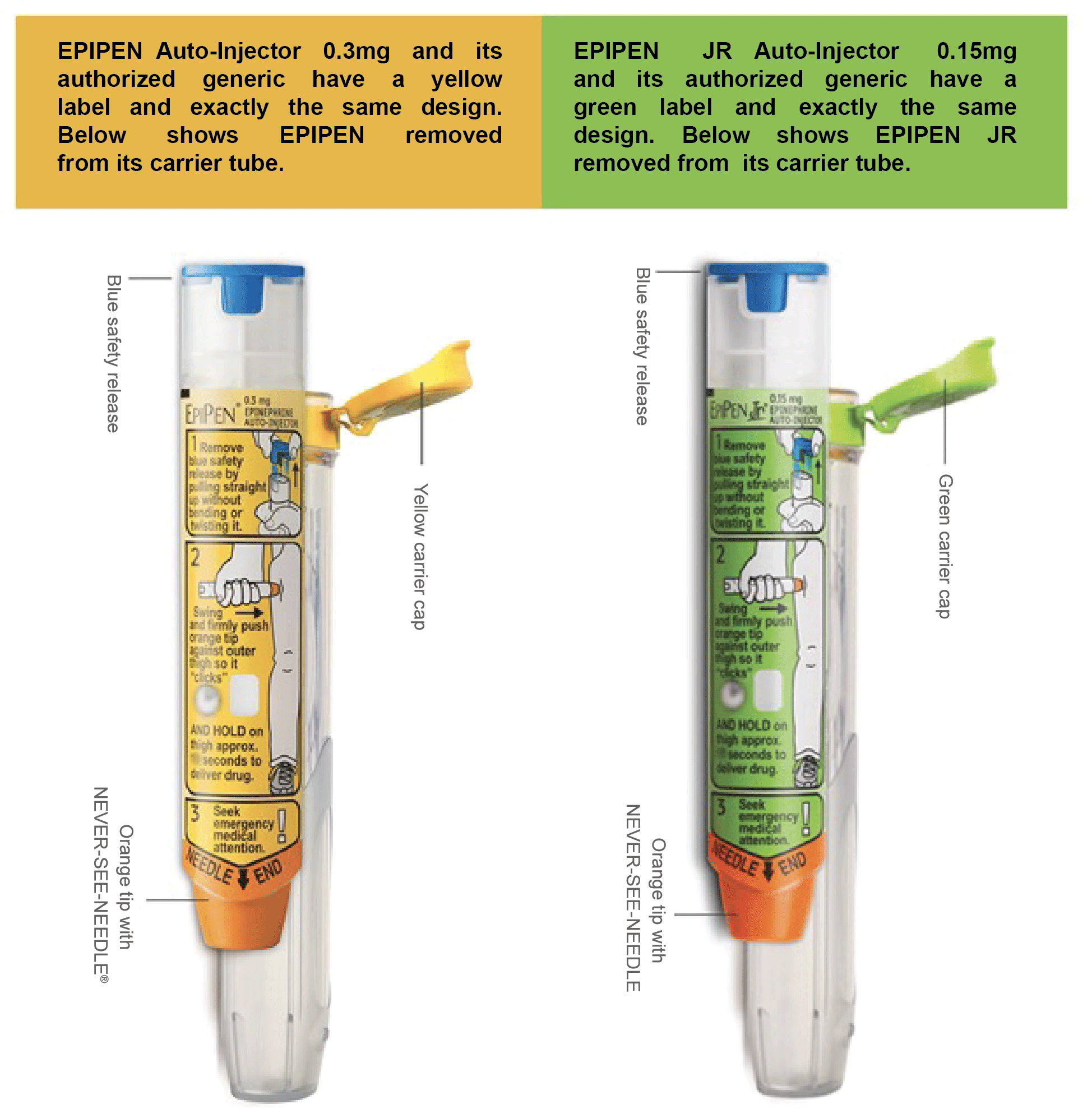 EpiPen® (epinephrine injection, USP) & EpiPen Jr® Auto-Injector