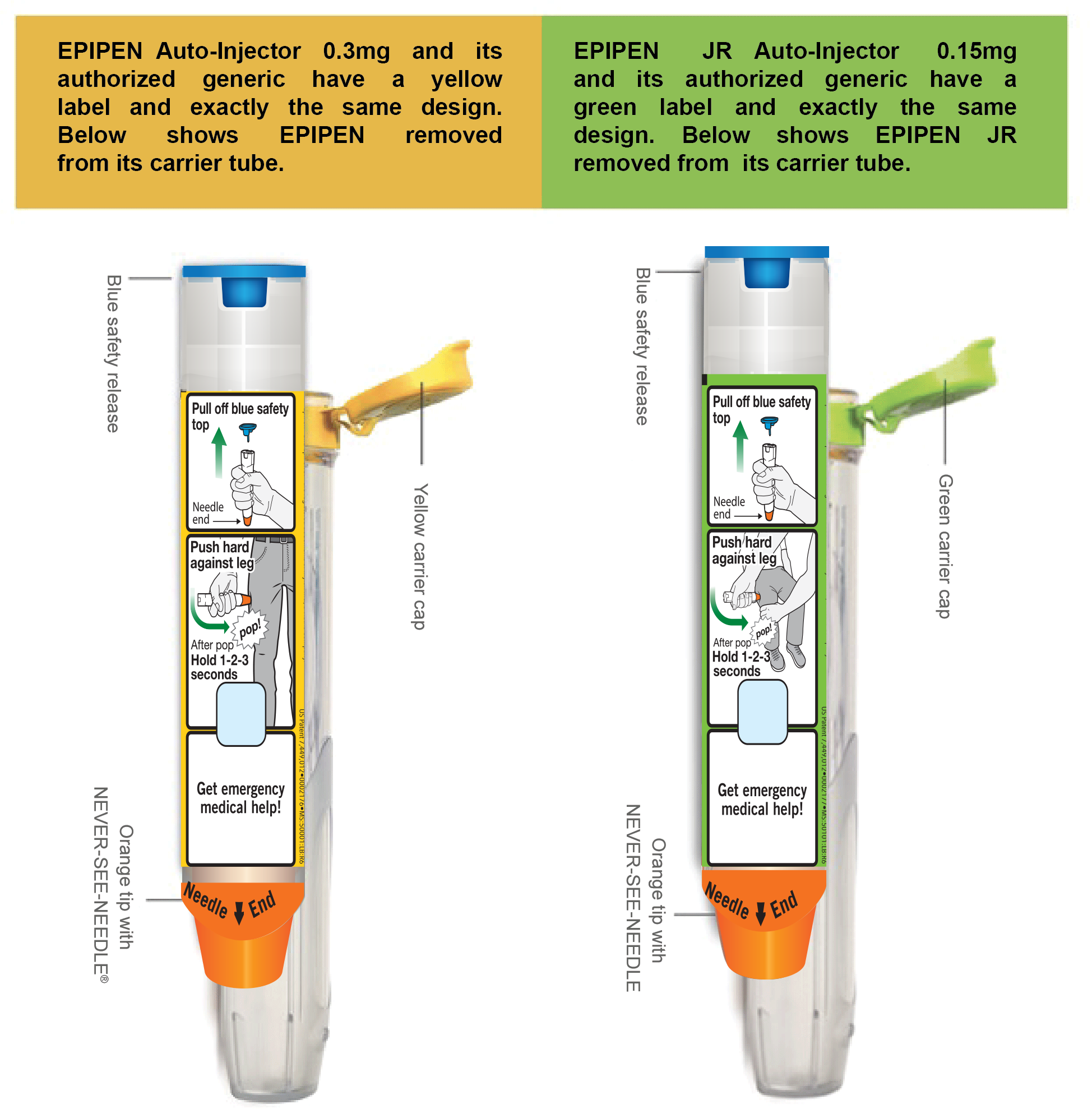 EpiPen Auto-Injector 0.3mg and its authorized generic have a yellow label and exactly the same design. EpiPen Jr Auto-Injector 0.15mg and its authorized generic have a green label and exactly the same design. Images of the auto-injectors removed from their respective carrier tube.