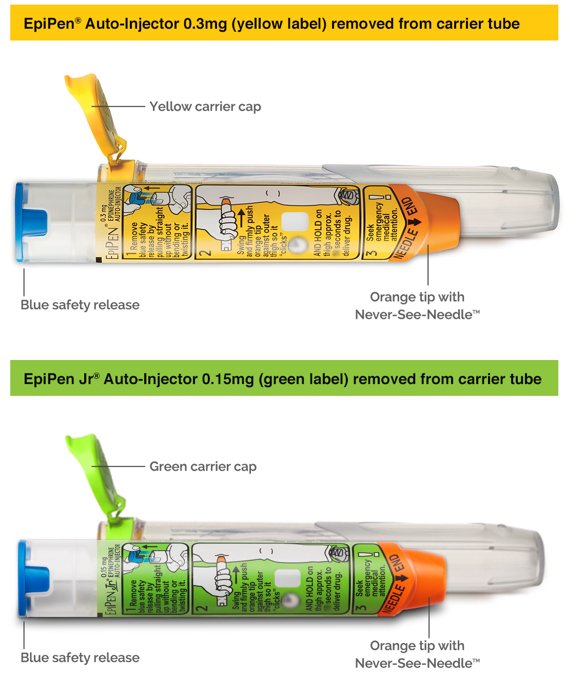 EpiPen® (epinephrine injection, USP) & EpiPen Jr® AutoInjector
